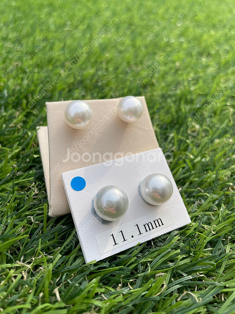 남양 진주 귀걸이 3종 판매합니다.(골드,타히티 흑진주,실버)--3