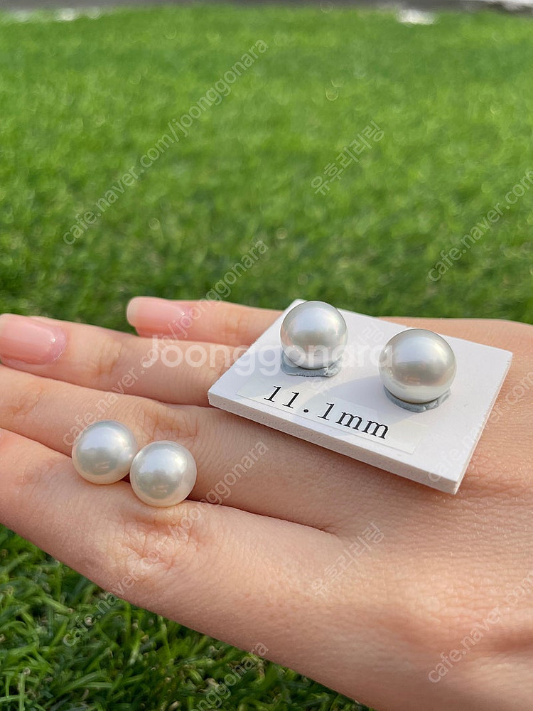 남양 진주 귀걸이 3종 판매합니다.(골드,타히티 흑진주,실버)--4