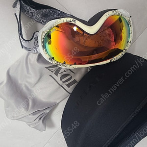 여성 스키 고글