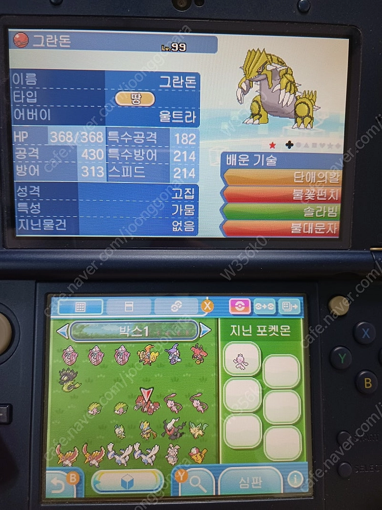 닌텐도 포켓몬 배포 이로치 포켓몬 이미지