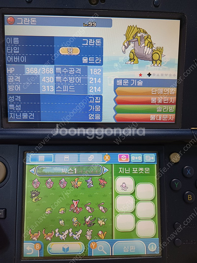 닌텐도 포켓몬 배포 이로치 포켓몬--9