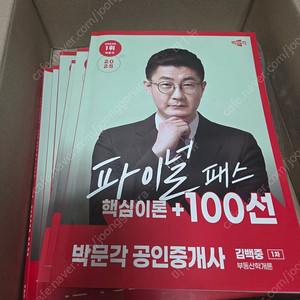 2025 박문각 공인중개사 파이널패스 전권 일괄 ( 민법 공인중개사법 공법 공시법 세법 부동산학개론 )