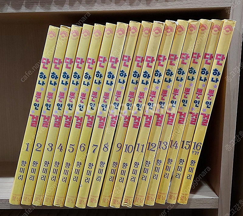 [황미리] 단 하나뿐인 걸 1~16 완결, 상급--0