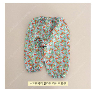 프리젠트프로젝트 프프 고쟁이S