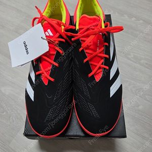 275mm] 아디다스 프레데터 엘리트TF 풋살화