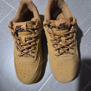 나이키 된장포스 240