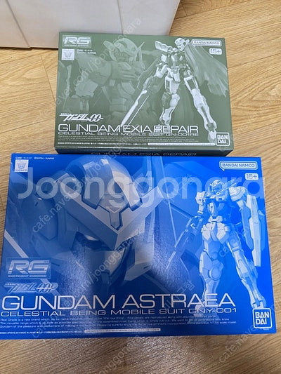 RG 엑시아 리페어 및 아스트레아 옵션 판매합니다.--0