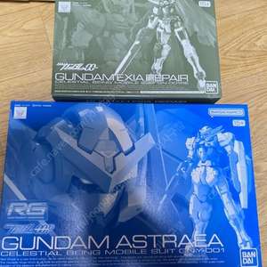 RG 엑시아 리페어 및 아스트레아 옵션 판매합니다.