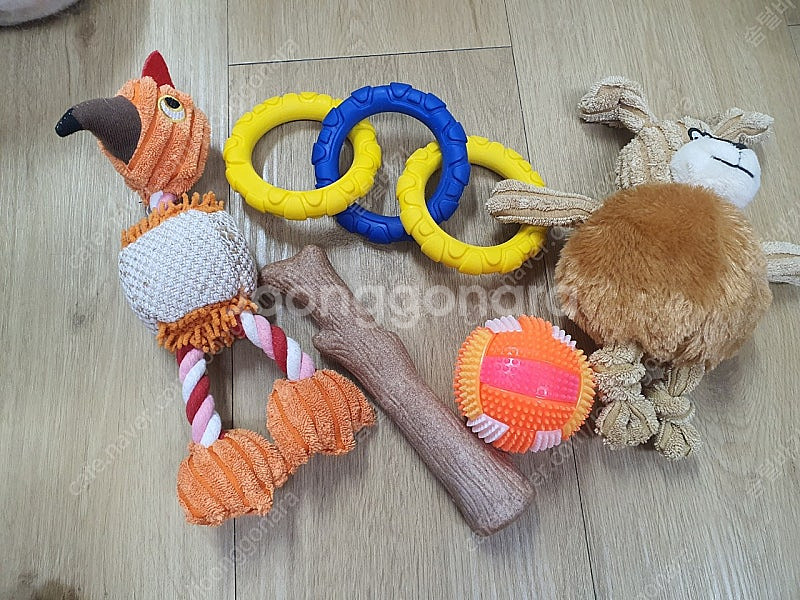 강아지 우드 스틱 + 장난감 세트 일괄--0