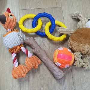 강아지 우드 스틱 + 장난감 세트 일괄