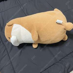 우소우소짱 인형 이젠돌스 라잉독 뭉뭉이 특대 대