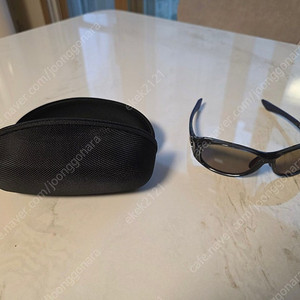 사이트마스터 로톤도 슈퍼라이트브라운