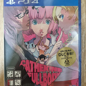 PS4 플스4 캐서린 풀 보디