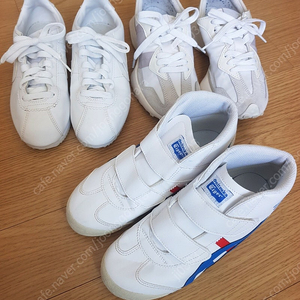 신발 220~225 세켤레일괄 택포