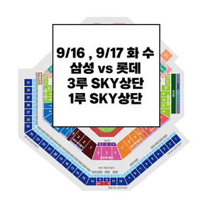 9/17 삼성라이온즈 롯데 스카이상단 야구티켓