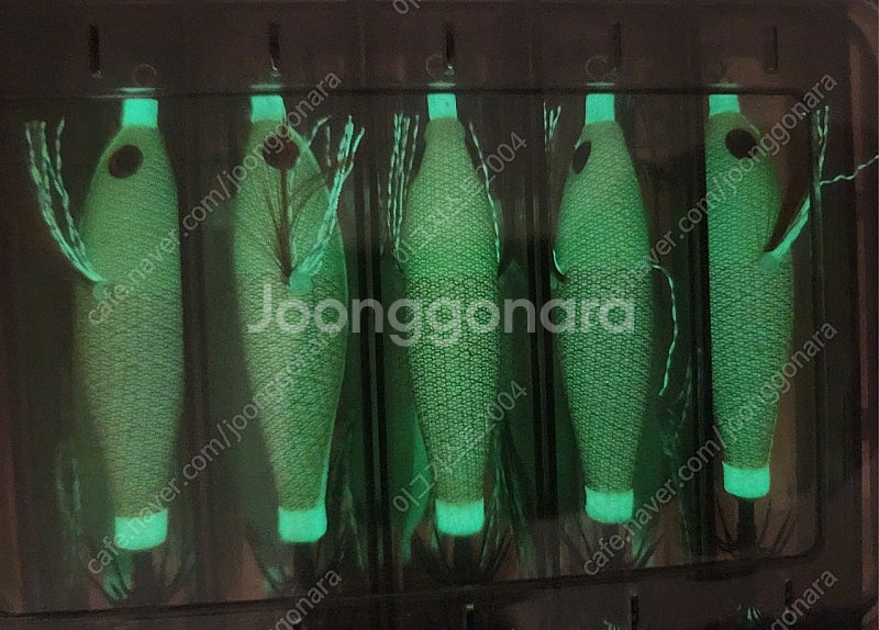 쭈꾸미 갑오징어 에기--4