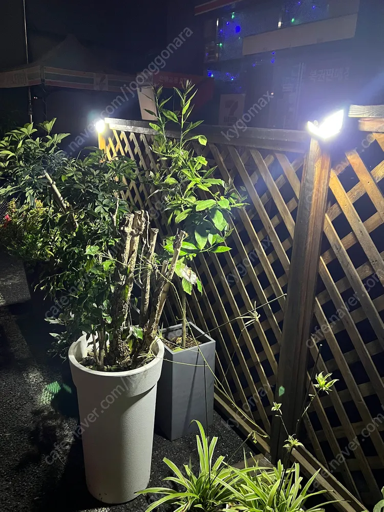 100구 LED 태양광 무선 센서등 모션감지 옥외등 이미지