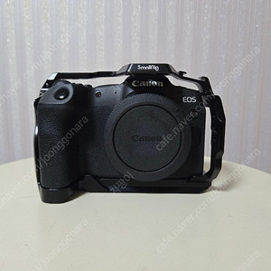 [천안, 아산] 캐논 eos r8 + smallrig 케이지