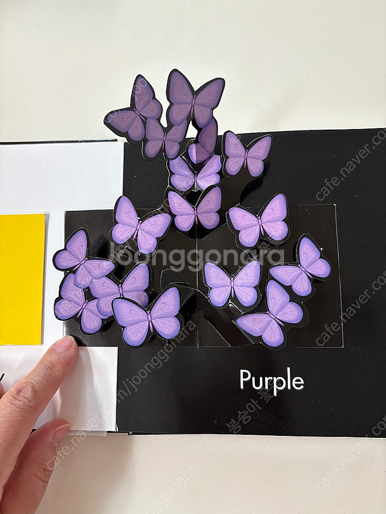 잠수네, 영어 그림책 보드북, 하드 커버, CD, DVD, 에릭칼 영어책, 노부영--5