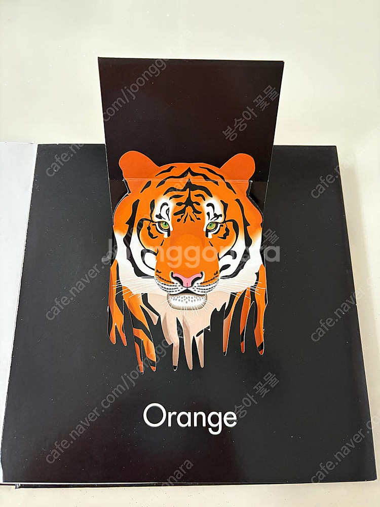 잠수네, 영어 그림책 보드북, 하드 커버, CD, DVD, 에릭칼 영어책, 노부영--6