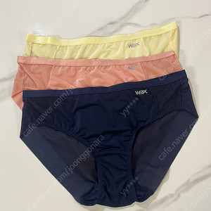 여성 속옷 팬티