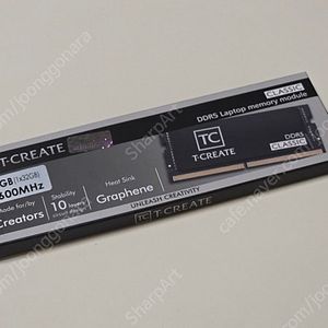 DDR5 5600 32GB 노트북 RAM
