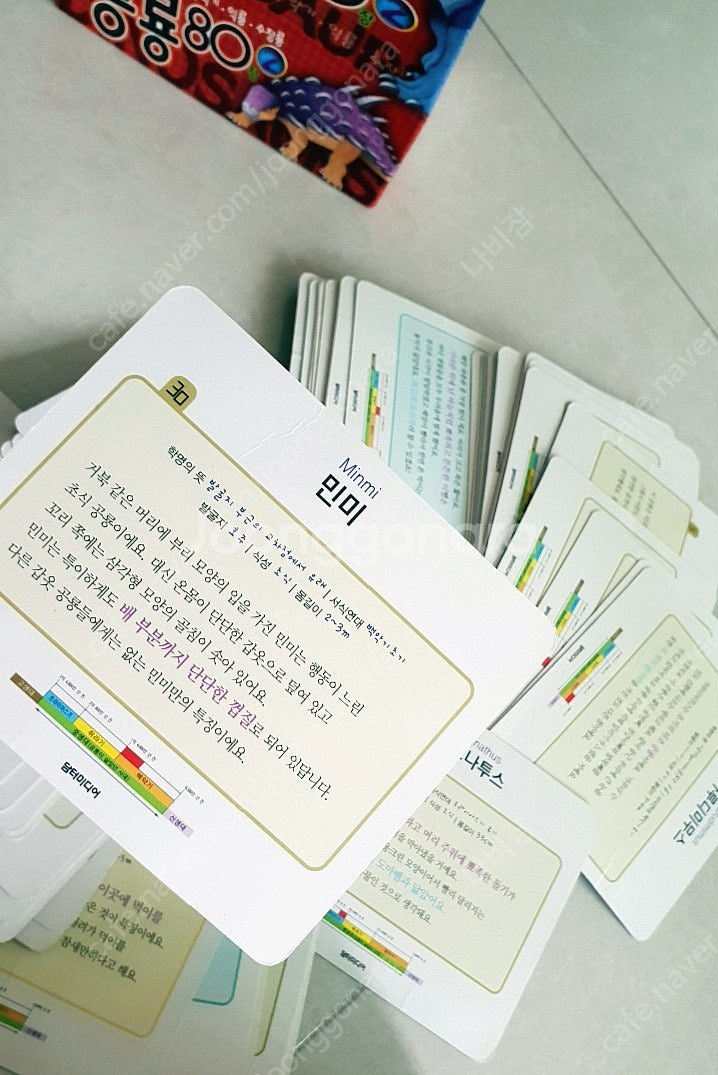 공룡 좋아하는 아이들이 좋아할만한 공룡템 모음 (공룡퍼...--6