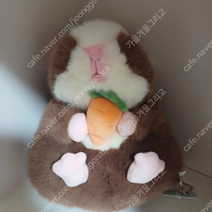 (새상품) 모루못토상 야채식사 봉제 인형 25cm (다크브라운)