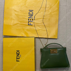 정품 펜디 나노 피카부 카키