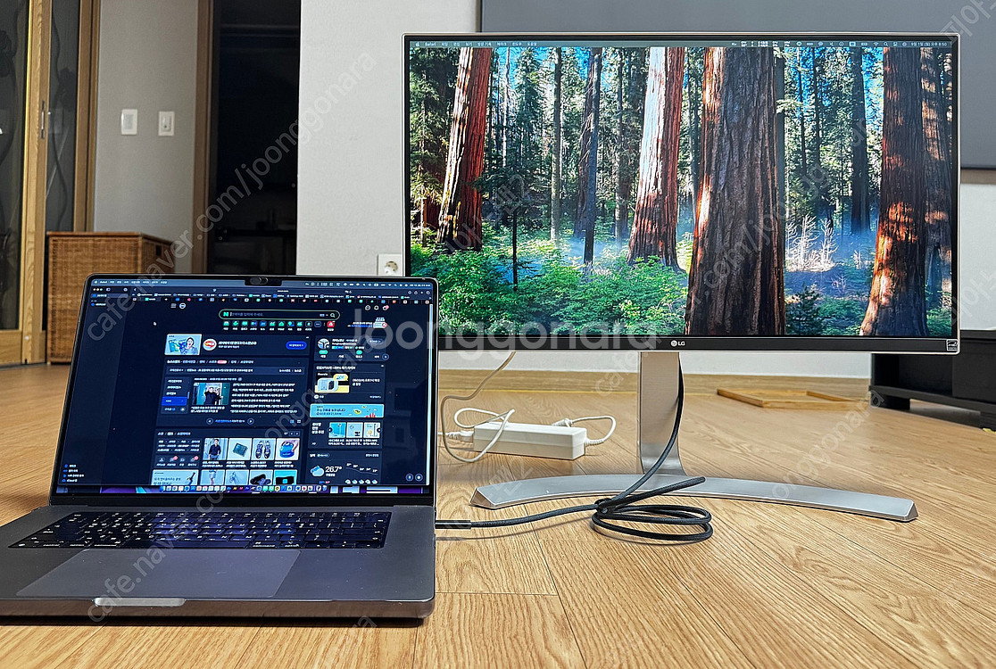 LG 27인치 4K UHD 모니터 (USB-C케이블 하...--5