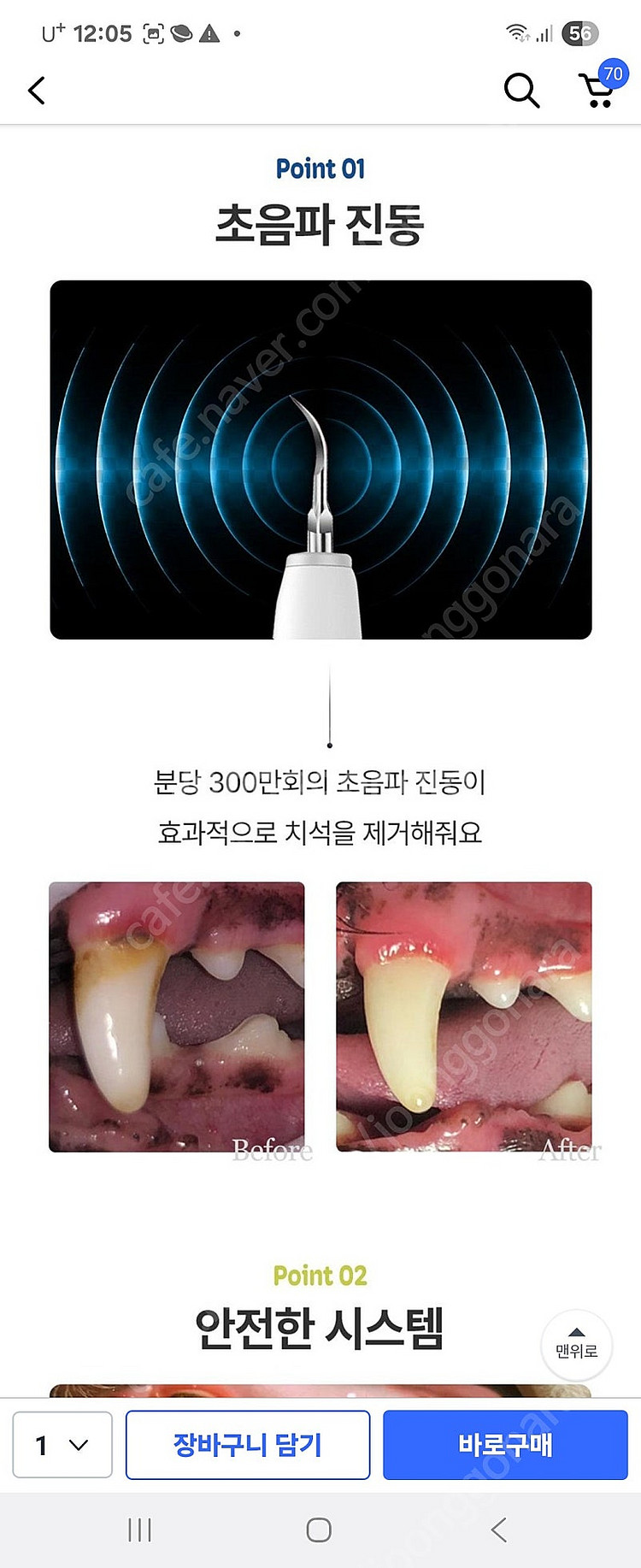 반려견 치석제거기--2