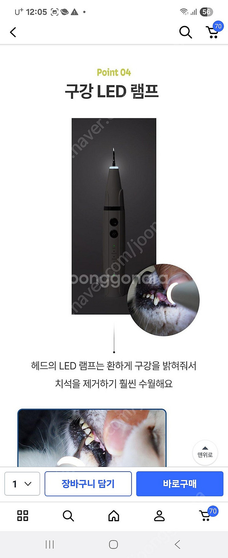반려견 치석제거기--3