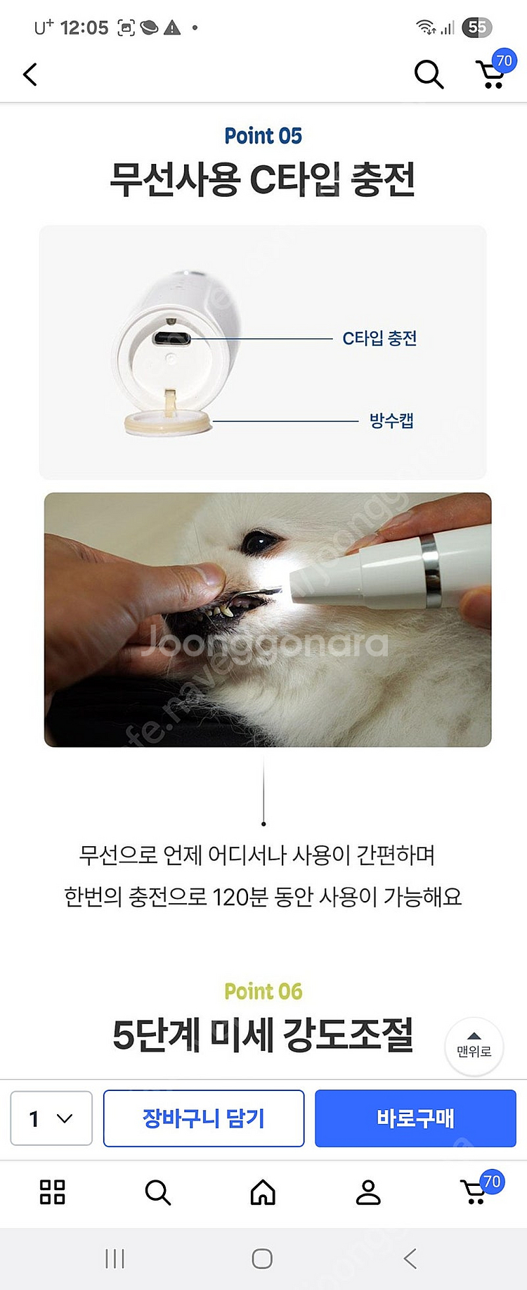 반려견 치석제거기--4