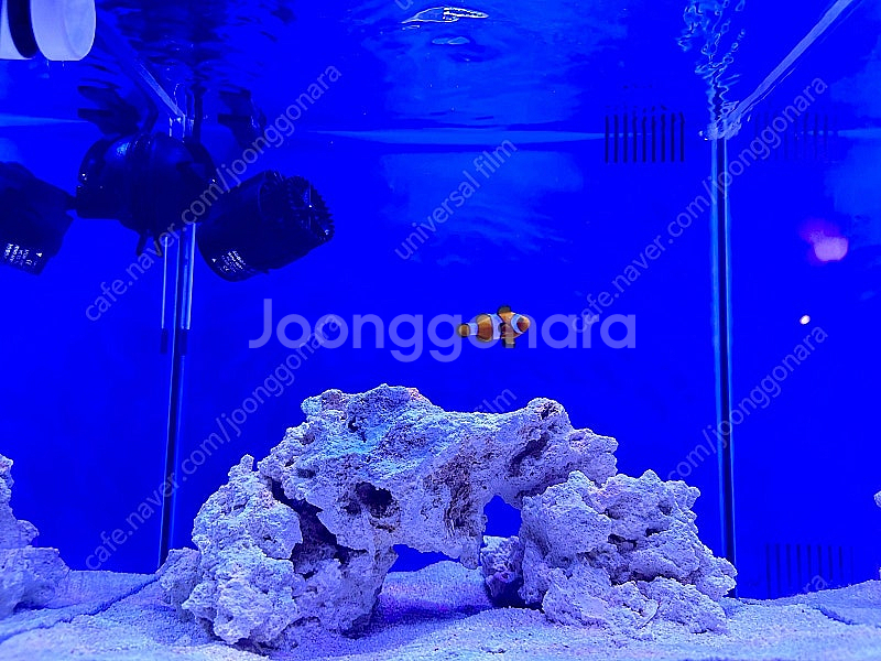 35큐브 배면 섬프 해수어항 풀셋 판매합니다.--0