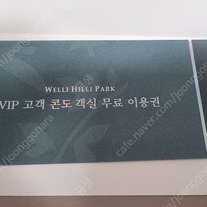 강원도 웰리힐리파크 패밀리형 숙소 초대권