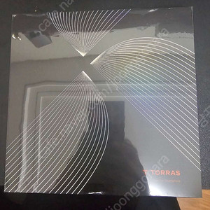 폴드7 TORRAS 케이스
