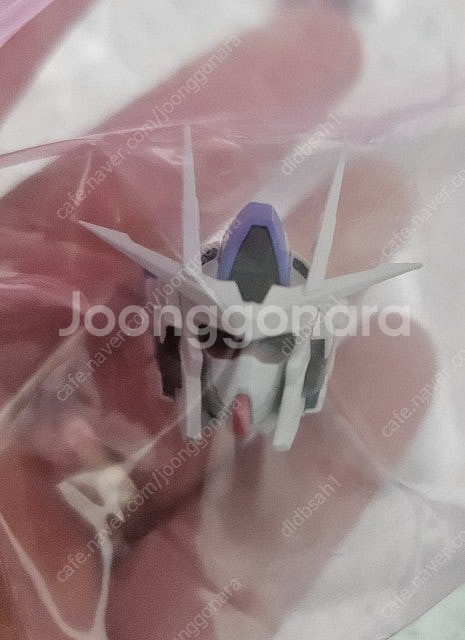 모쇼 퀸터--3