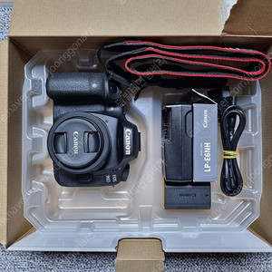 캐논 EOS 90D + 렌즈 2개 + 배터리 2개 + 더미배터리 + 쿨러