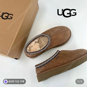 어그 타스만