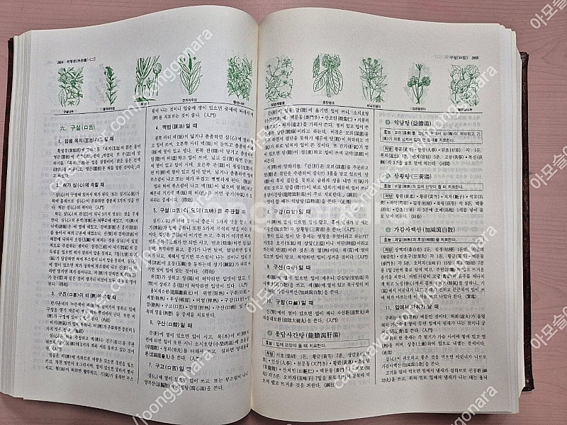 원본 동의보감,한글번역 동의보감 2권 택포--6