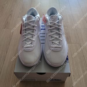 [280~285] 나이키 르브론넥젠 북1 야니스프릭6 KD15 농구화 팝니다.(판매중)