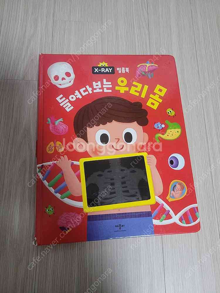 들여다보는 우리 몸 X-RAY 그림책 애플비--0