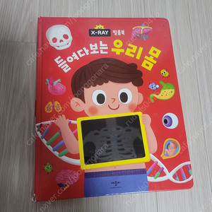들여다보는 우리 몸 X-RAY 그림책 애플비