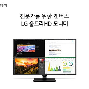 LG전자 43인치 울트라HD 4K HDR 모니터 43UN700