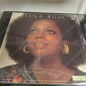 <수입 더블 엘피> 다이아나 로스 Diana Ross 베스트 - 2 LP