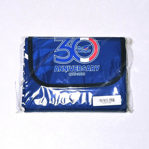 수원 삼성 블루윙즈 30주년 기념 피크닉 매트