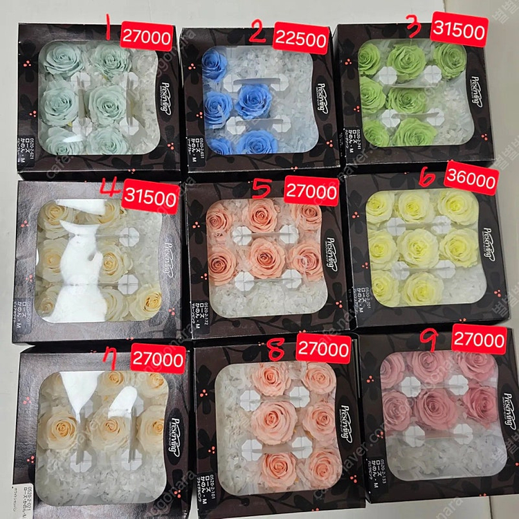 택포40500 프리저빙 프리저브드 플라워 장미 카네이션 국화 케논 로즈 촬영 꽃 생화 디퓨저 드라이 꽃다발 소품 꽃... 이미지