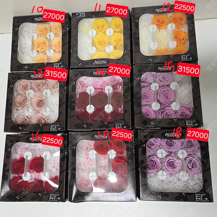 택포40500 프리저빙 프리저브드 플라워 장미 카네이션 국화 케논 로즈 촬영 꽃 생화 디퓨저 드라이 꽃다발 소품 꽃... 이미지