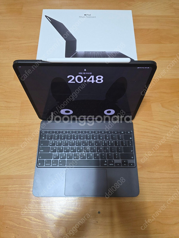아이패드 프로 13인치 M4, 셀룰러, 1TB, 애케플...--2