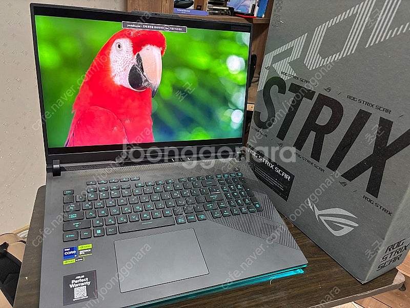 asus rog strix 4090--2